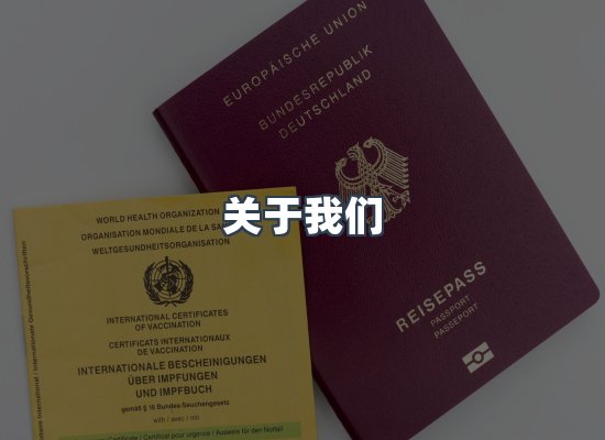 关于我们